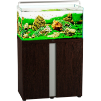 akvarium biodizajn iwagumi 85_venge